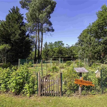 ホテル Novotel Bordeaux Mérignac